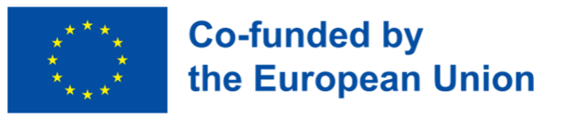 Co-funded by European Union